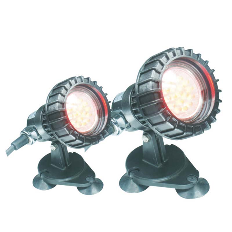 Fisk over under bakken nedsenkbar dammen